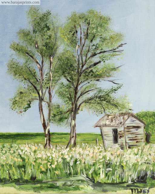 The Shack