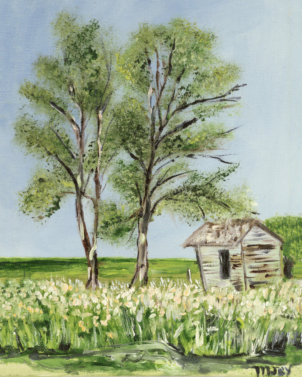 The Shack