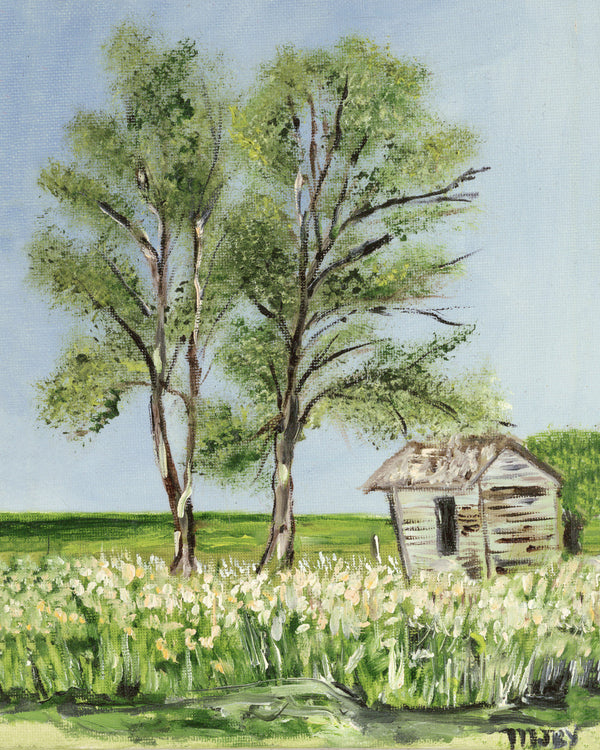 The Shack